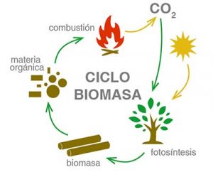 biomasa-ecologica